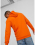 Puma Elevated Sweatshirt Oranzhev - Pepit.bg