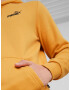 Puma Sweatshirt Oranzhev - Pepit.bg