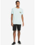 Quiksilver Everyday Chino Къси панталони Cheren - Pepit.bg