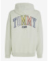 Tommy Jeans OVZ College Hoodie Sweatshirt Zelen - Pepit.bg