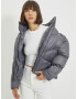 Trendyol Winter jacket Siv - Pepit.bg