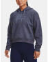 Under Armour Essential Script Hoodie Sweatshirt Siv - Pepit.bg