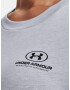 Under Armour Oversized Graphic SS T-shirt Siv - Pepit.bg