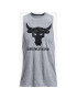 Under Armour Project Rock Brahma Bull T-shirt Siv - Pepit.bg