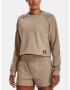 Under Armour UA Crop Terry LS BTG Sweatshirt Kafyav - Pepit.bg