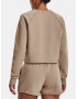 Under Armour UA Crop Terry LS BTG Sweatshirt Kafyav - Pepit.bg