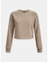 Under Armour UA Crop Terry LS BTG Sweatshirt Kafyav - Pepit.bg