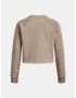 Under Armour UA Crop Terry LS BTG Sweatshirt Kafyav - Pepit.bg