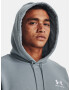 Under Armour UA Essential Fleece Hoodie Sweatshirt Sin - Pepit.bg