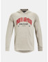 Under Armour UA Rival Try Athlc Dept HD Sweatshirt Kafyav - Pepit.bg