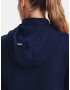 Under Armour UA Storm Daytona FZ HD Sweatshirt Sin - Pepit.bg