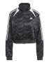 adidas Sportswear Къс суитшърт Tiro с цип - Pepit.bg