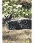 adidas Performance Сандали Terrex Hydroterra с велкро - Pepit.bg