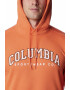 Columbia Худи CSC Basic Logo™ с джоб кенгуру - Pepit.bg