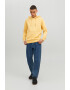 Jack & Jones Худи Basic с джоб кенгуру - Pepit.bg