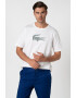 Lacoste Тениска с лого - Pepit.bg