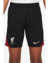 Nike Футболни шорти LFC с лого - Pepit.bg