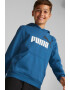 Puma Худи Essentials+ с джоб кенгуру - Pepit.bg