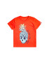 QUIKSILVER Тениска Golden Pineapple с фигурална щампа - Pepit.bg