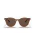 Ray-Ban Ray Ban - Слънчеви очила Active Pantos - Кафяв - Pepit.bg