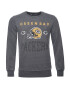 Recovered Суитшърт Green Bay Packers 3383 - Pepit.bg