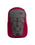 The North Face Раница Jester Grey/Red - Pepit.bg