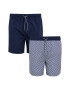 Threadbare Плувни шорти Kite - 2 чифта - Pepit.bg