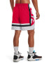 Under Armour Къс баскетболен панталон Baseline - Pepit.bg