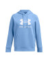 Under Armour Тренировъчно худи Rival - Pepit.bg