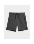 4F Спортни шорти JSS23TFSHM151 Сив Regular Fit - Pepit.bg