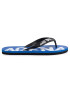 Arena Джапанки Flip Flop Polybag 002309 203 Черен - Pepit.bg