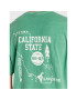 BDG Urban Outfitters Тишърт 75326066 Зелен Regular Fit - Pepit.bg