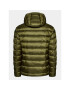 Blauer Пухено яке 23WBLUC03075 Зелен Regular Fit - Pepit.bg