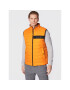 Boss Елек Darolan 50464300 Оранжев Regular Fit - Pepit.bg