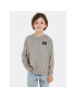 Calvin Klein Jeans Блуза IB0IB01886 Сив Regular Fit - Pepit.bg