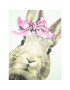 Coccodrillo Тишърт WC3143218EVG Зелен Regular Fit - Pepit.bg