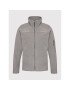 Columbia Полар Fast Trek Ii 1465351 Сив Regular Fit - Pepit.bg