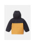 Columbia Пухено яке Powder Lite™ Boys Hooded Jacket Жълт Regular Fit - Pepit.bg