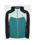 Dare2B Преходно яке Lattitudinal DML526 Цветен Regular Fit - Pepit.bg