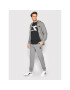 Diadora Суитшърт Sweat Core 102.178175 Сив Regular Fit - Pepit.bg