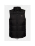 Dickies Елек Waldenburg DK0A4Y2K Черен Regular Fit - Pepit.bg
