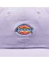 Dickies Шапка с козирка Hardwick DK0A4TKVE Виолетов - Pepit.bg