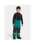 Didriksons Зимни панталони Idre Kids Pants 6 504357 Зелен - Pepit.bg