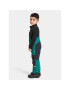 Didriksons Зимни панталони Idre Kids Pants 6 504357 Зелен - Pepit.bg