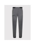 Haglöfs Outdoor панталони L.I.M Fuse Pant 605305 Сив Regular Fit - Pepit.bg