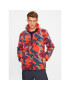 Helly Hansen Преходно яке Panorama Printed Pile 49512 Цветен Regular Fit - Pepit.bg