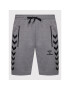 Hummel Спортни шорти Ray 211156 Сив Regular Fit - Pepit.bg
