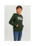 Jack&Jones Junior Суитшърт 12152841 Зелен Regular Fit - Pepit.bg