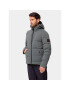 Jack Wolfskin Зимно яке Wandermood Down Jkt 1207311 Зелен Regular Fit - Pepit.bg