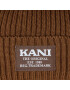 Karl Kani Шапка KK Woven Retro Classic Beanie KA-233-006-2 Кафяв - Pepit.bg